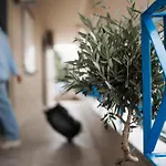 Stefaneli Studios